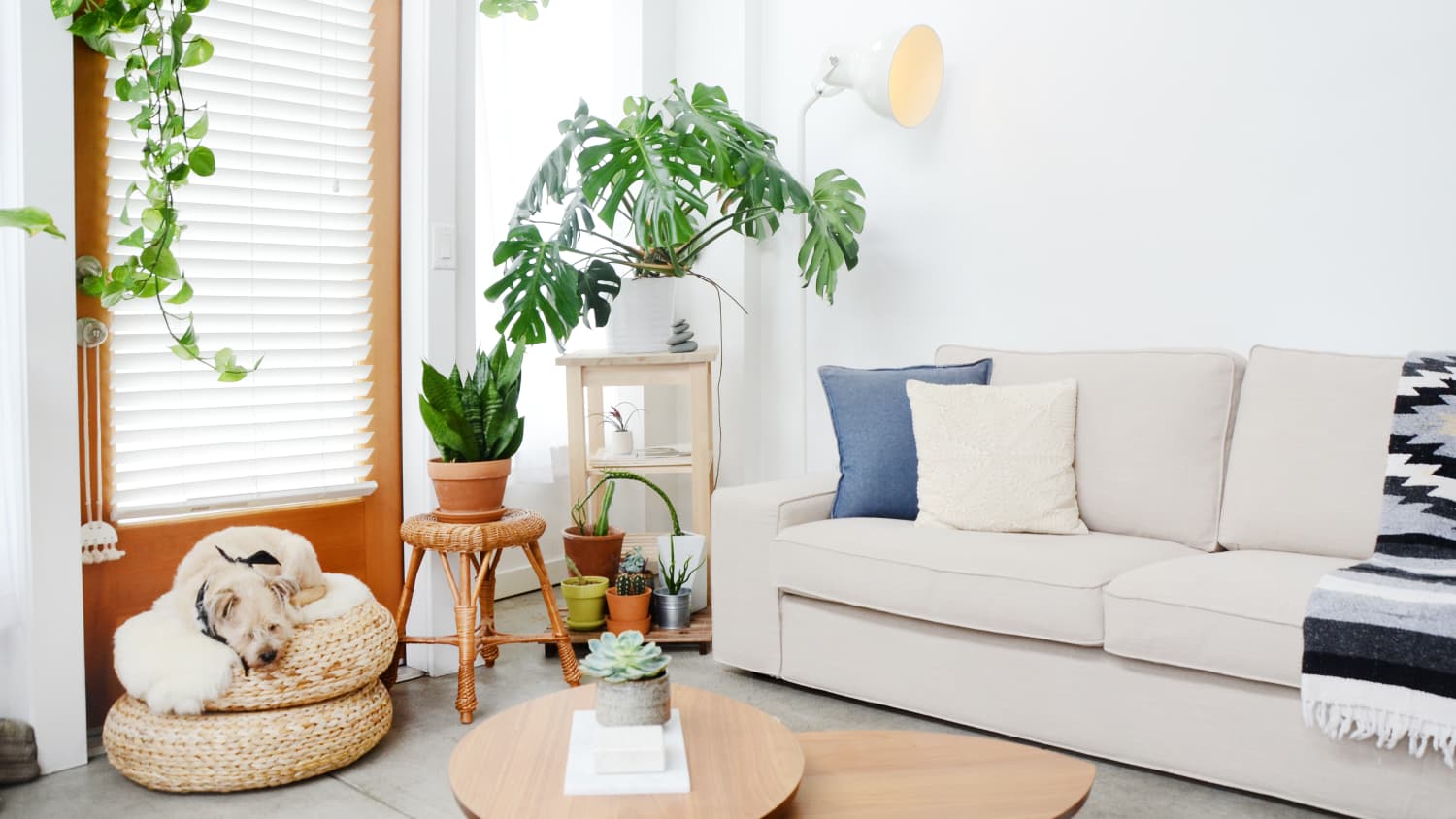 Sleeper sofa for small spaces cheap